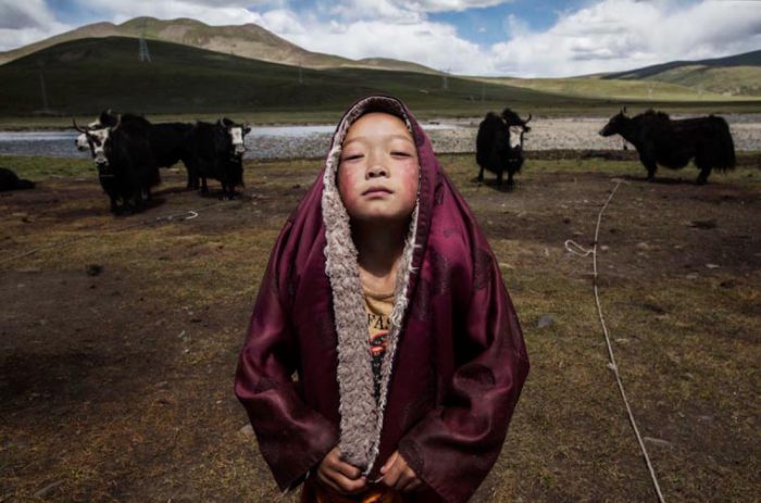 Кочевая жизнь на Тибетском плато. Фотограф: Кевин Фрэйер (Kevin Frayer).