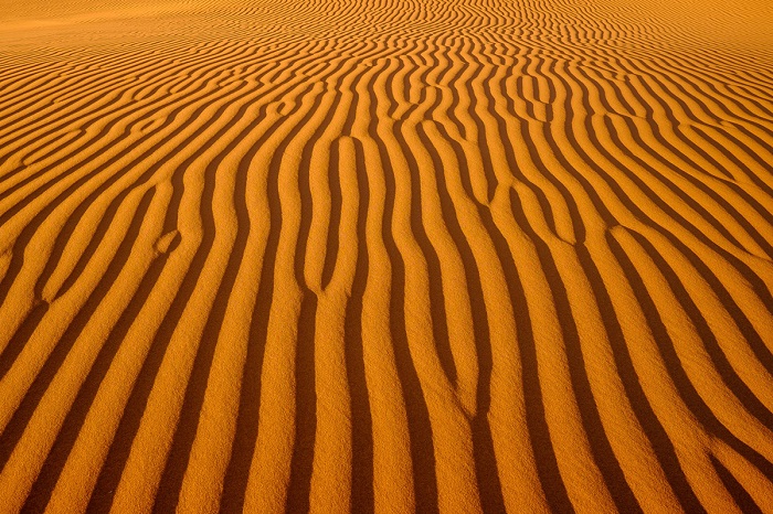 Одна из многих потрясающих картин пустыни Намиб.