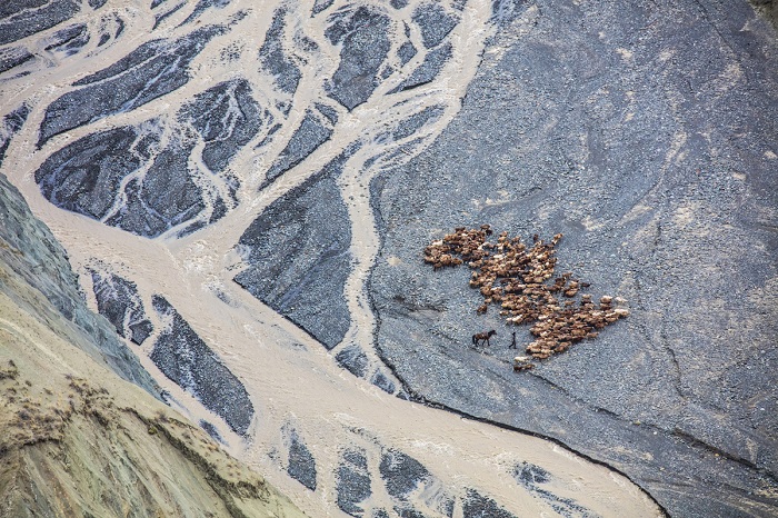 Пастух с овцами пересекает сухое русло в нижней части каньона Тянь-Шаня.