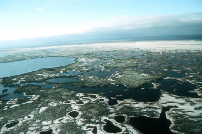 Одни из самых больших болот в мире расположены и в междуречье Оби и Иртыша в Западной Сибири.