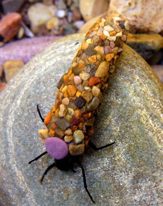 Ручейник — личинка крупной луговой бабочки.