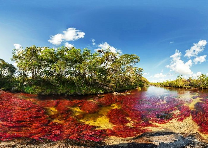 Река пяти цветов протекает в национальном парке Серрания-де-ла-Макарена, в центральной части Колумбии.