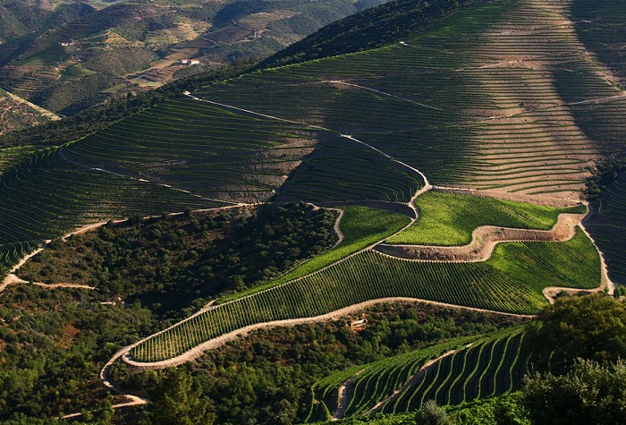 Самая живописная долина Португалии. Протяженность долины 200 километров.