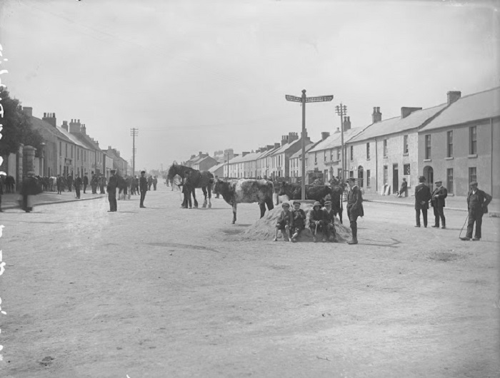 Пригород Дублина, 1880 год.