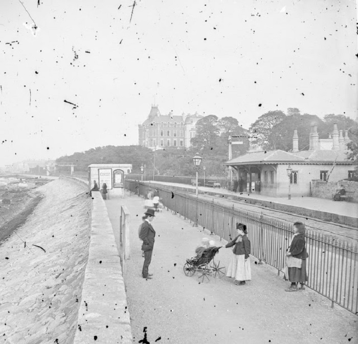 Семья на прогулке, Монкстаун, 1870год.