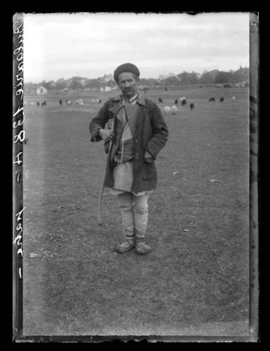 Болгарский пастух, 1908 год.