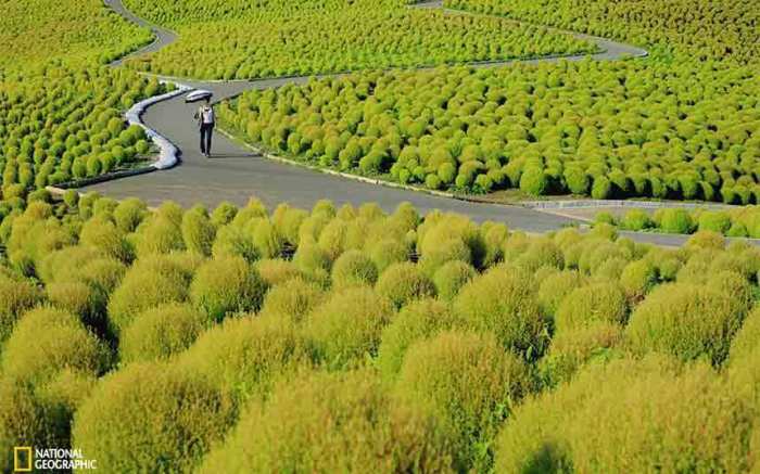 Прекрасные зелёные холмы можно найти в Японии, Кокии. Фотограф (Hideyuki Katagiri).