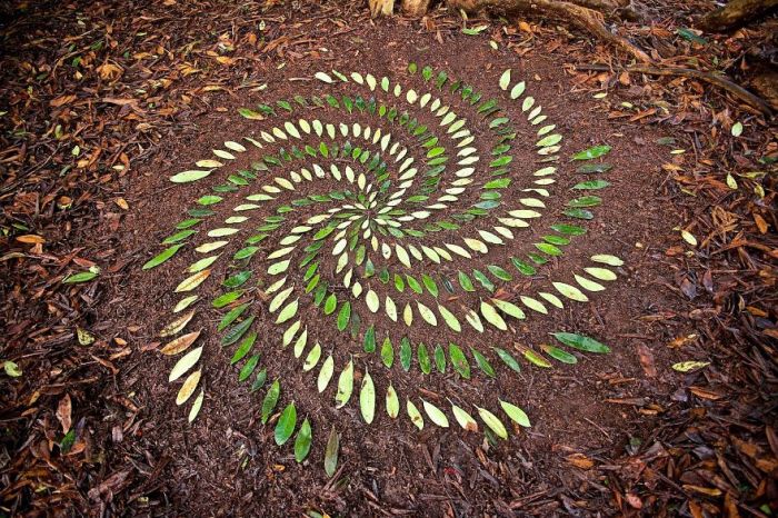 Ленд-арт из листьев, мастерски созданный талантливым Джеймсом Бранттом.