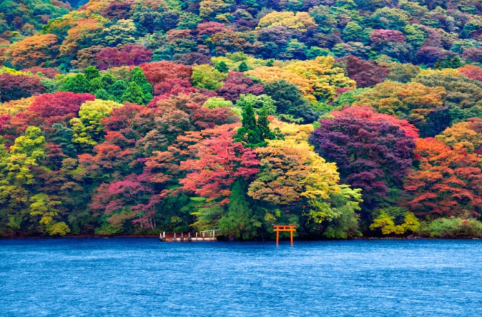 Кратерное озеро в центральной части острова Хонсю, одна из жемчужин Национального парка Хаконе.