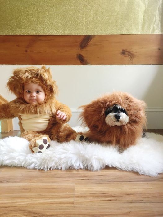 Семейная фотография ребенка и собаки в оригинальных костюмах.