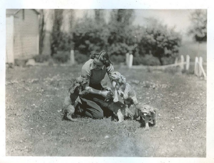Девушка играет на лужайке с щенками.