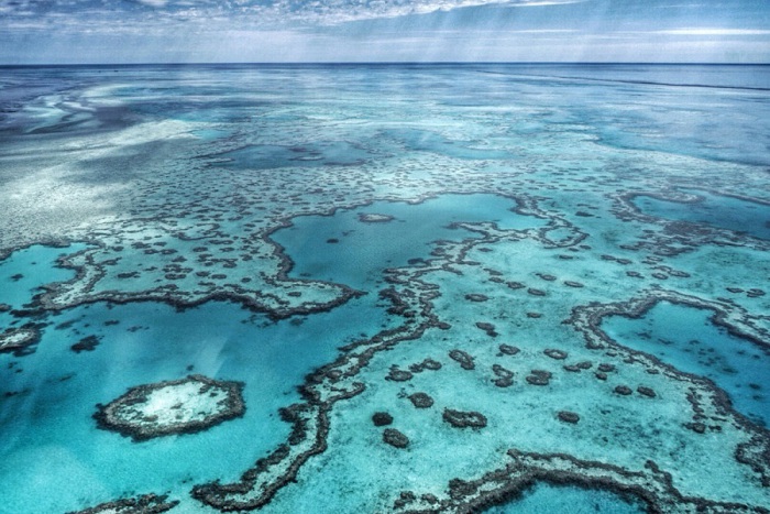 Крупнейший в мире коралловый риф. Фотограф Ингрид Теда (Ingrid Teda).