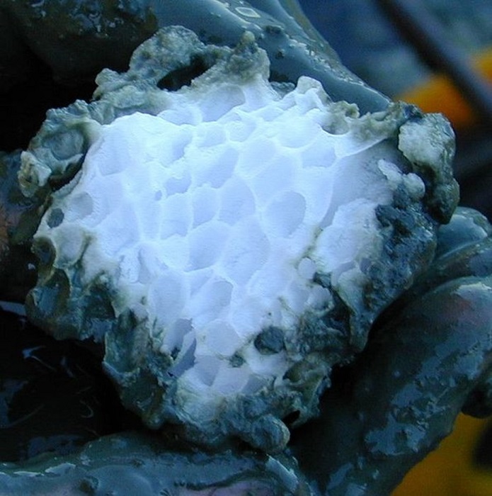 Лед, имеющий особую структуру в виде ячеек, внутри которых разместились молекулы метана, образуется в морских глубинах.