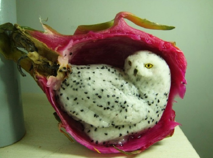 Снежная сова, вырезанная из драконьего фрукта.