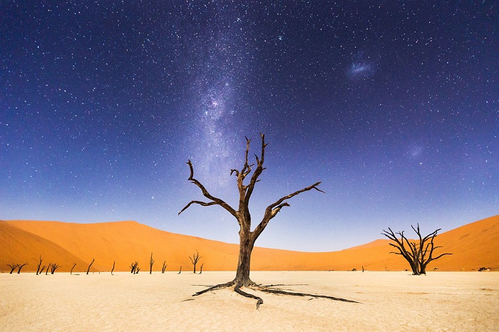 Фотограф Бет Маккарли (Beth McCarley). Этим деревьям в Намибии около 900 лет, но они не сгнили, потому что в пустыне Намиб очень сухо.