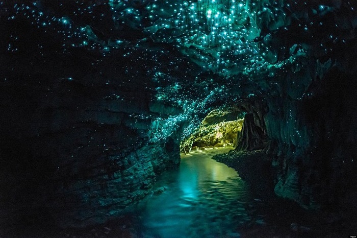 Пещера является одним из самых ярких проявлений биолюминесценции на Земле.
