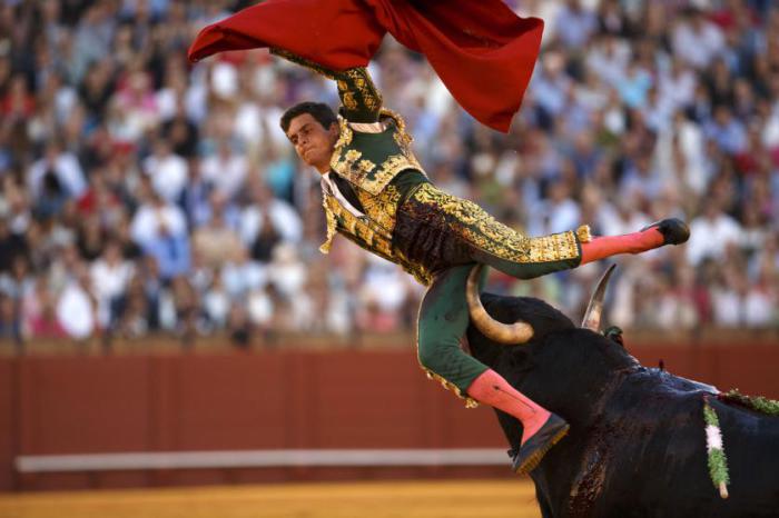 Испанский матадор в схватке с быком на арене «Маэстранца» в Севилье, Испания, 24 апреля 2015 года.