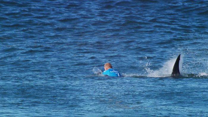 На 34-летнего Мика Фаннинга, трехкратного чемпиона мира по серфингу напала большая белая акула.