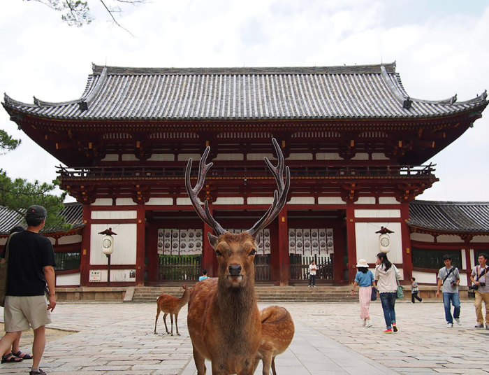Великий Восточный храм - один из самых известных и исторически важных храмов Японии.