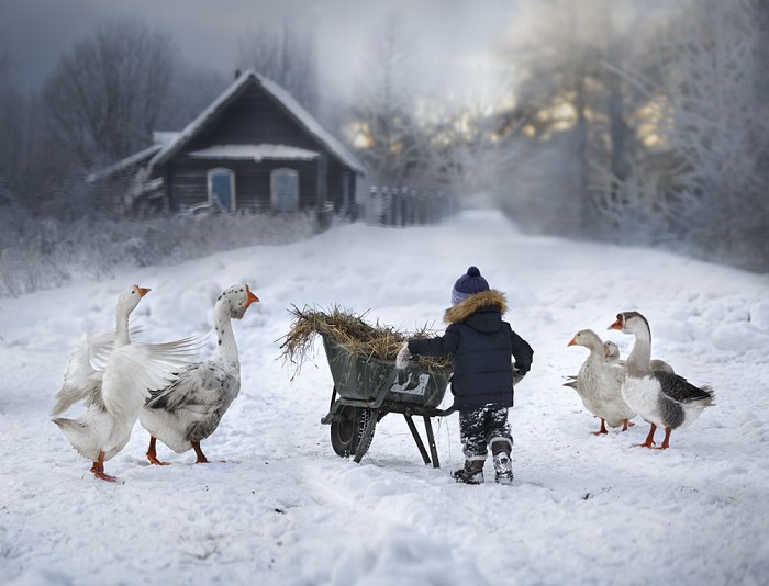 Напоследок о зиме: будущий глава семейства. Фотограф Елена Шумилова.
