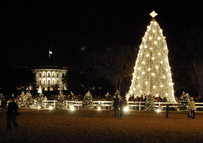 Национальная рождественская елка за пределами Белого дома.