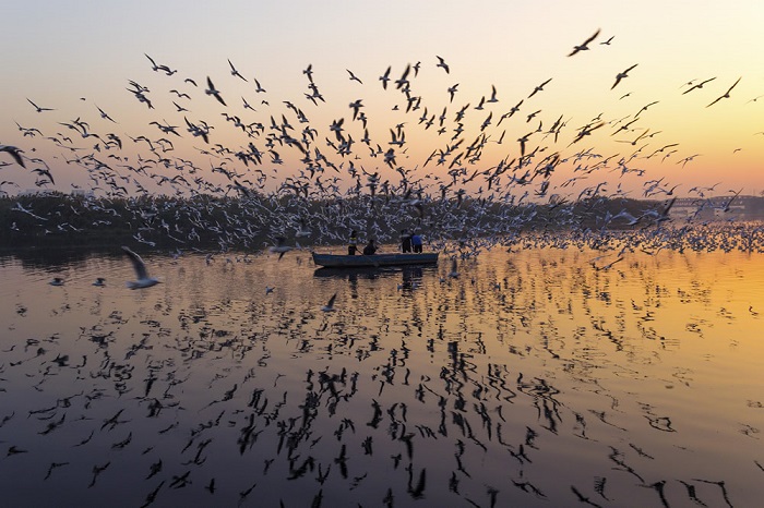 Индийский фотограф Джей Тхакур (Jai Thakur) из Дели создал серию снимков, посвященных реке Джамна.