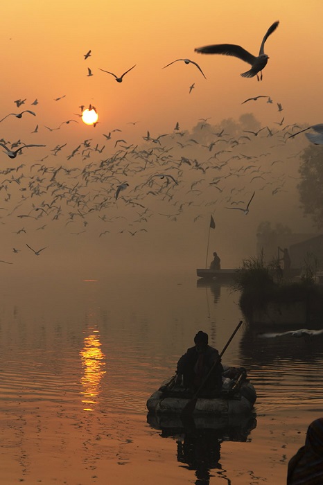 Индийский фотограф часто посещал реку, чтобы наблюдать за кружащими чайками и впечатляющими восходами.