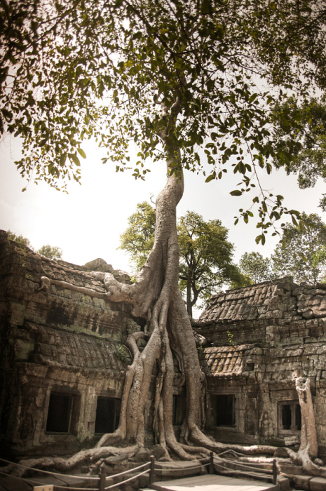 Храмовый комплекс Ангкор Ват, Камбоджа.