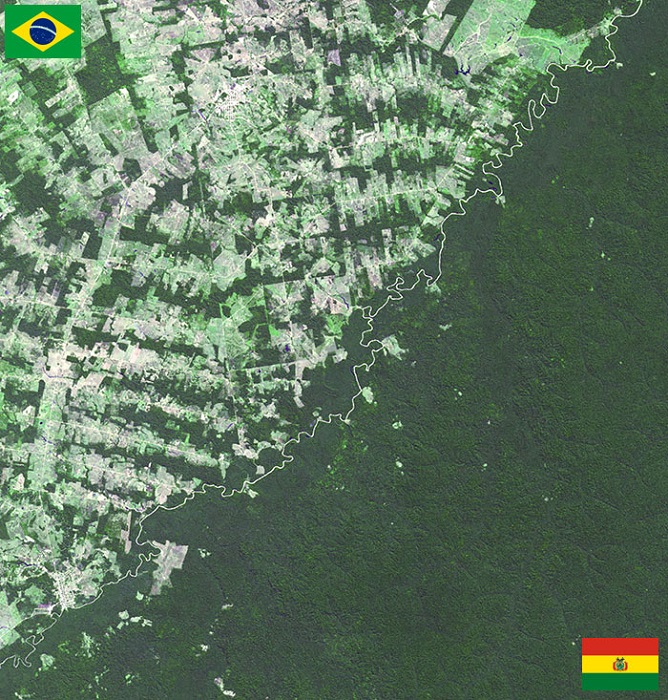 Река, разделяющая две страны, проводит чёткую границу между тропическими лесами Бразилии, где ведётся вырубка лесов (светло-зелёная) и лесами Боливии (тёмно-зелёная).