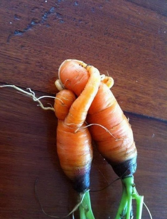 Любовь-морковь.