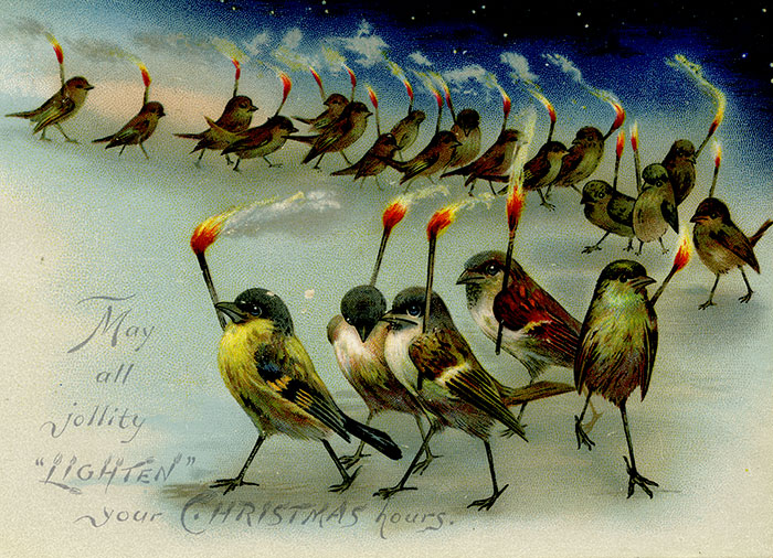 Птицы освещают ночь зажжёнными спичками в канун Рождества.