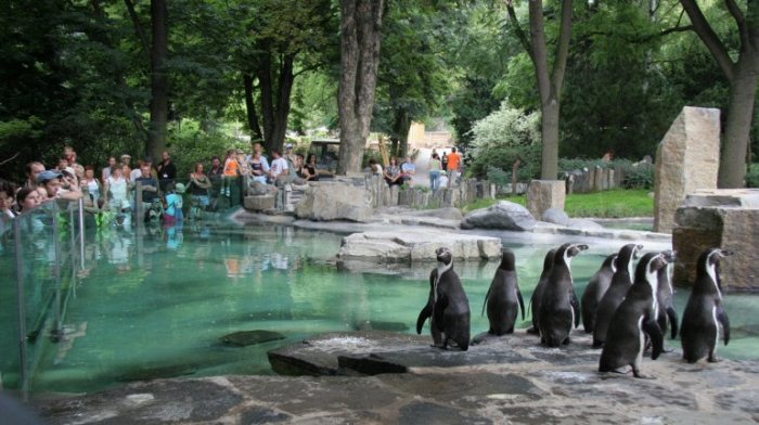 Главный зоопарк в Чешской республике и один из самых крупных на территории Европы может похвастаться не только разнообразием животных, но и собственной аллеей звезд.
