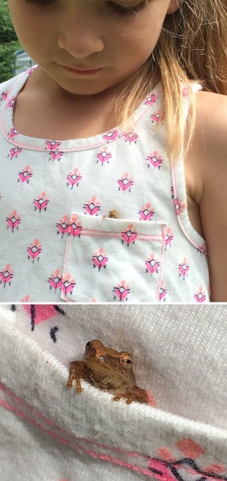 Этого милого лягушонка девочка прячет в кармашке своего платьица.