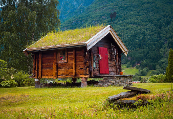 Скандинавы очень серьезно относятся к своим зелёным крышам, традиции строительства которых передаются из поколения в поколение.