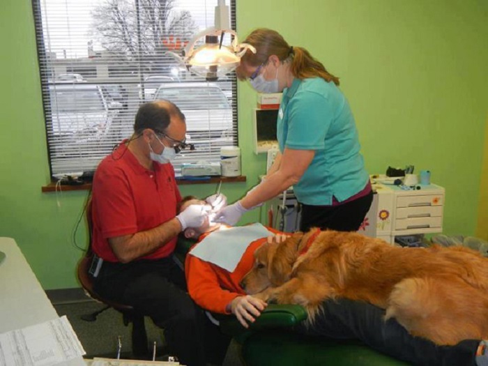 Удивительный стоматолог приводит свою собаку, когда к нему приходят малыши, которые жутко бояться лечить зубы.