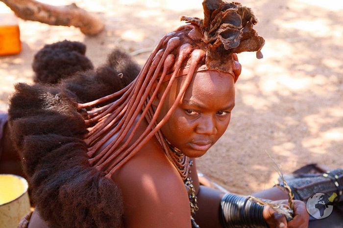 Живут в домах из навоза и пьют кровь коров. Кенийское племя масаи – самое необычное в Африке