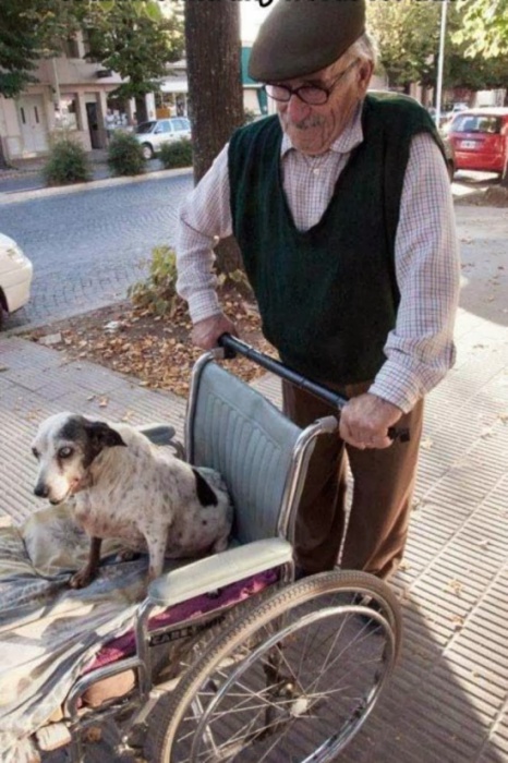Пожилой мужчина каждый день выгуливает свою старую собачку.