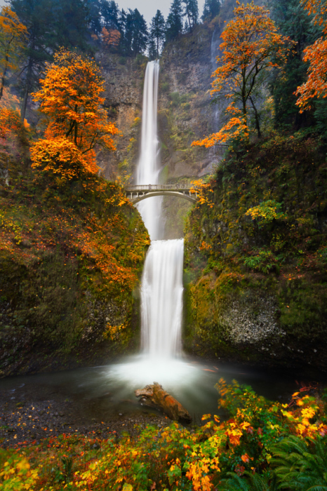 Мостик через водопад. Автор фотографии: Вильям Ли (William Lee).