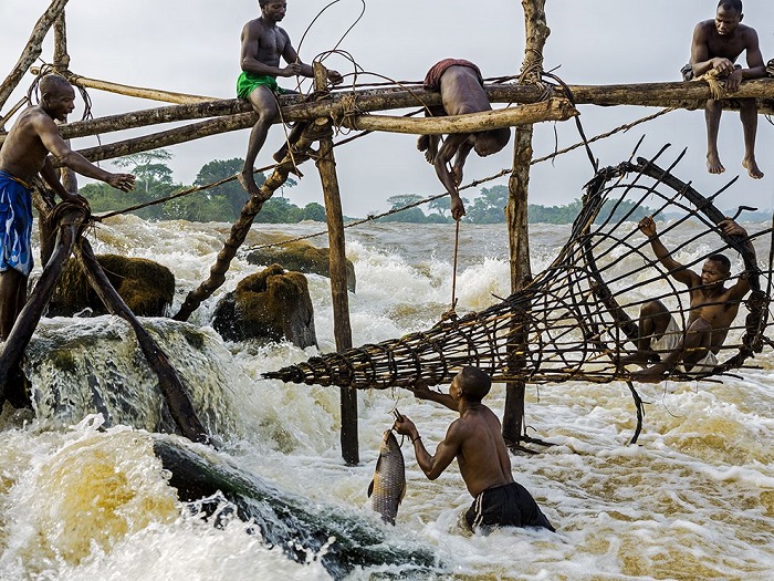 Река Конго соединяет девять африканских стран и является для них единственной водной артерией. Фотограф - Pascal Maitre.