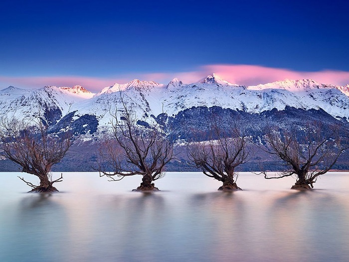 В жаркой Зеландии снег можно встретить только высоко в горах, но холодная пора сопровождается поднятием уровня воды в озерах, которые затопляют низменности. Фотограф - Paul Reiffer.