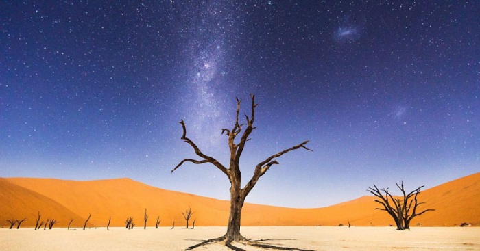Мертвая долина в Намибии. Фотограф - Beth McCarley.