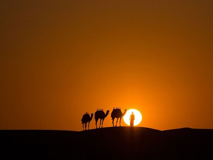 Одинокий погонщик верблюдов в пустыне ОАЭ. Фотограф - Rogel Tura.