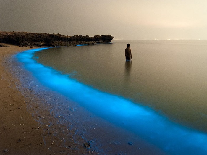 Прибой в Иране светится флуоресцентными голубыми красками, освещая берег. Фотограф - Pooyan Shadpoor.