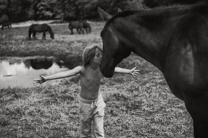 Мальчик и конь встретились летом после долгой разлуки.