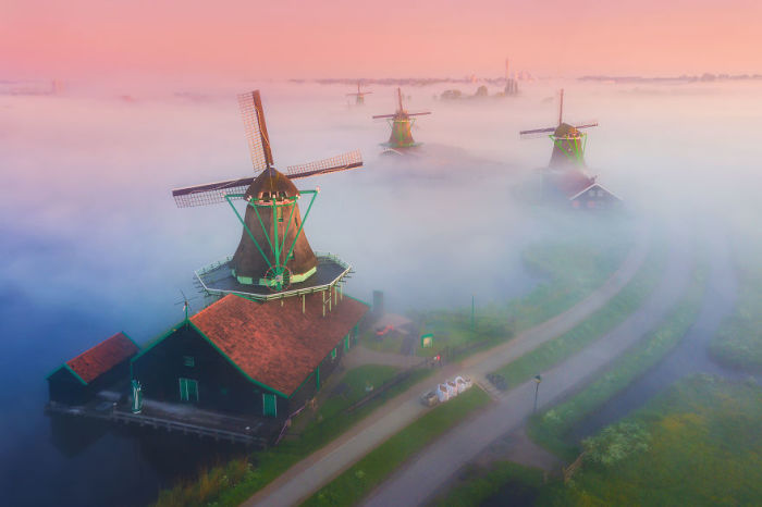 Волшебное утро в Нидерландах с ветряными мельницами, поднимающимися из тумана.