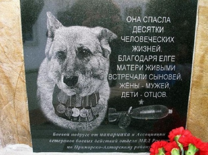Памятник собаке Елге, спасшей десятки человеческих жизней.