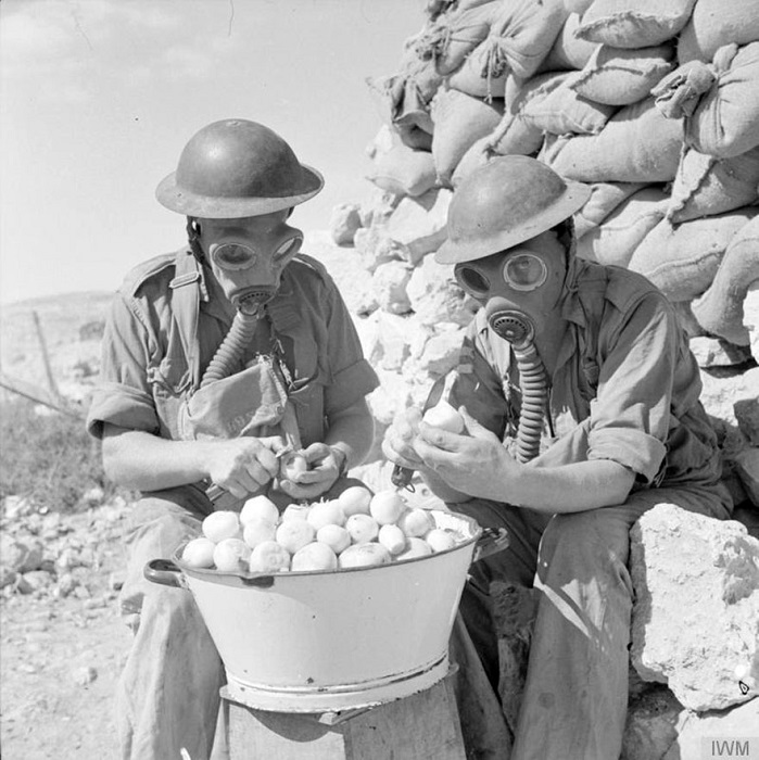 Британские солдаты чистят лук в противогазах. Тобрук. Итальянская Ливия. 15 октября 1941 года.