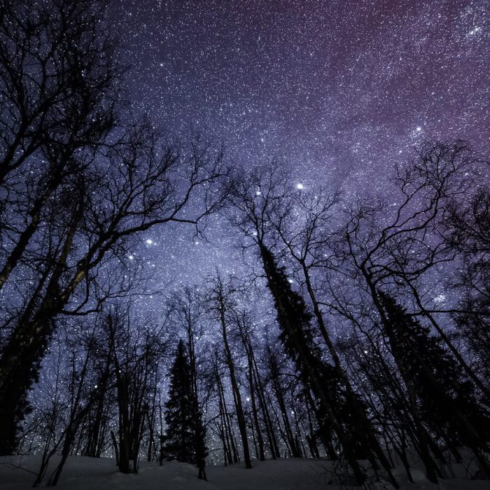 Миллионы небесных светил ярко светят в морозную ночь.