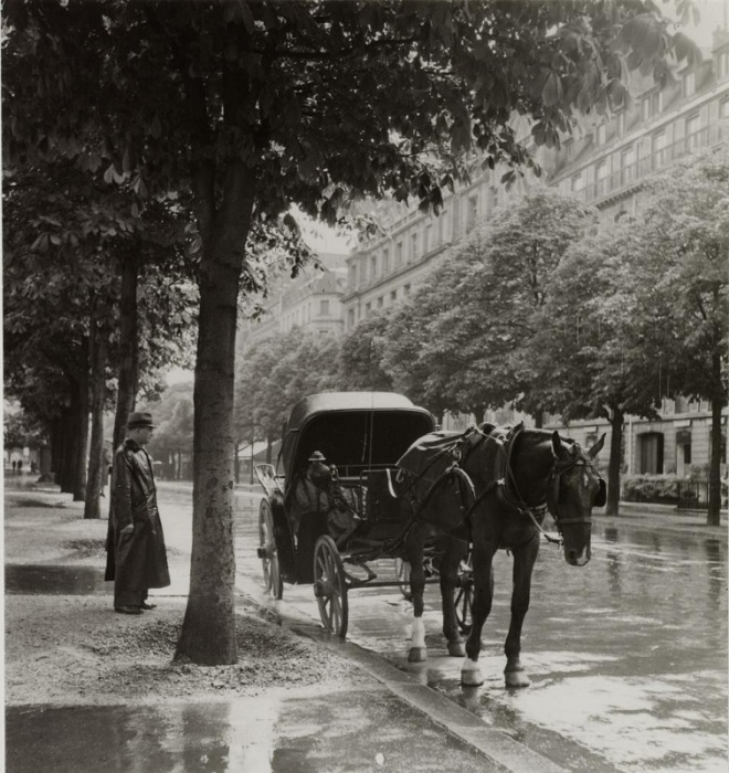 Общественный транспорт на авеню Монтень.