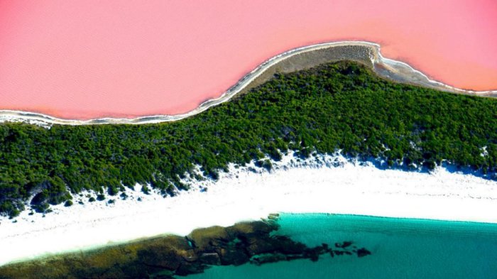 Розовый цвет воды вызван зелёными морскими водорослями и особыми бактериями, придающими воде яркий оттенок, который может варьироваться по насыщенности в зависимости от времени года.
